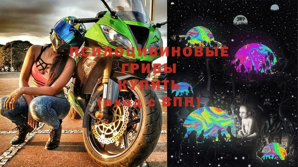 герыч Ельня