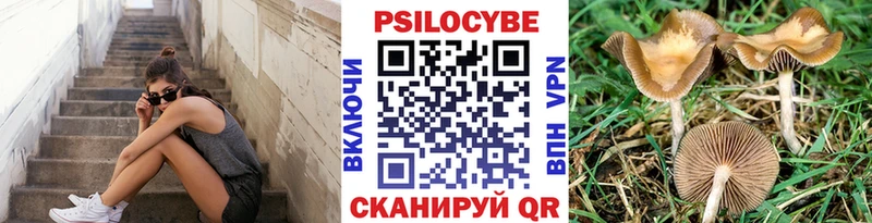 Галлюциногенные грибы мухоморы  Купить закладки  Рузаевка 
